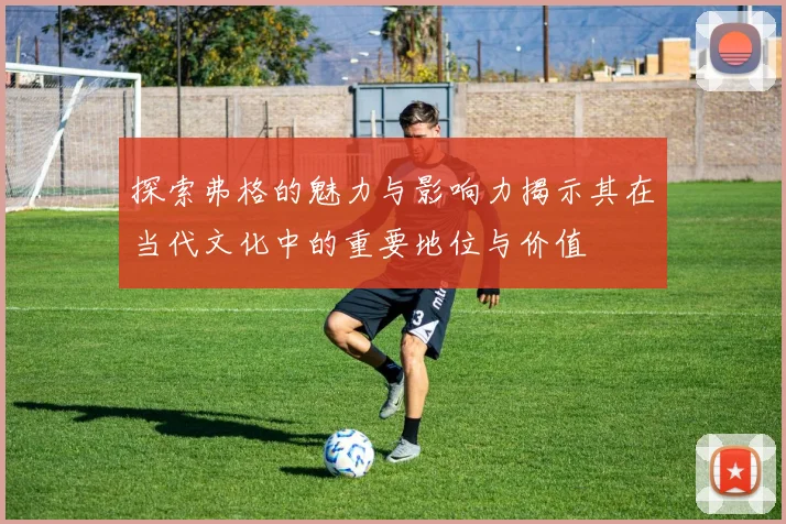 探索弗格的魅力与影响力揭示其在当代文化中的重要地位与价值