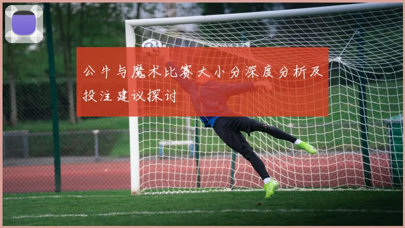 公牛与魔术比赛大小分深度分析及投注建议探讨