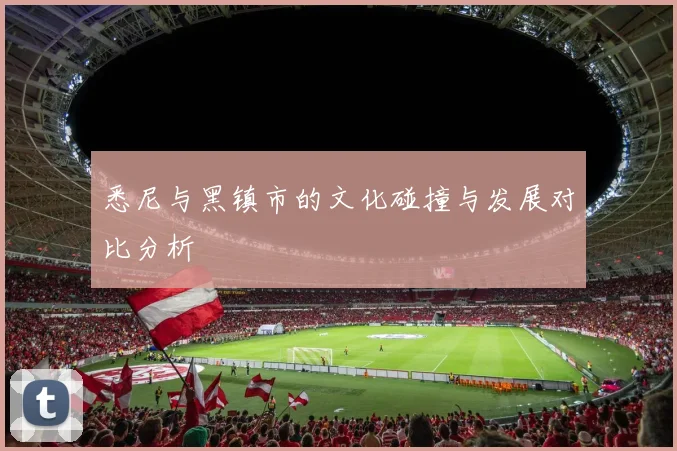 悉尼与黑镇市的文化碰撞与发展对比分析