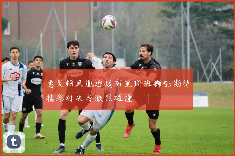 惠灵顿凤凰迎战布里斯班狮吼期待精彩对决与激烈碰撞