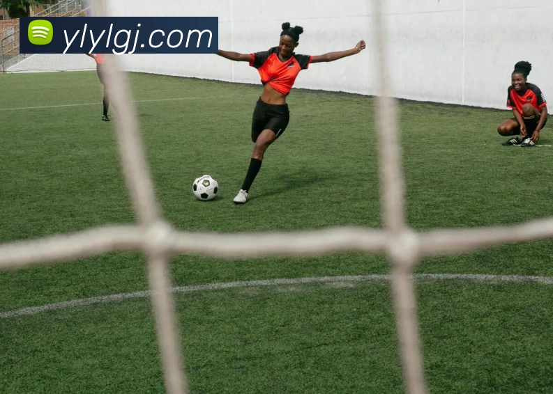 永利娱乐发展历程