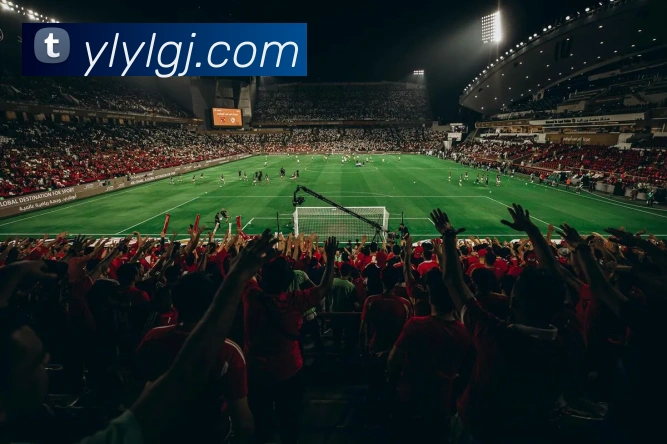 京都与水户蜀葵的精彩对决比分揭晓分析与赛后点评